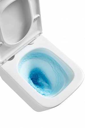 Подвесной унитаз безободковый Terminus Ватикан Монолит 490х340 белый Ростов-на-Дону - фото 8