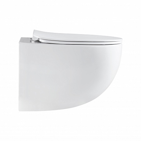 Подвесной унитаз безободковый Terminus Енисей Монолит 560х390 белый Ростов-на-Дону - фото 4