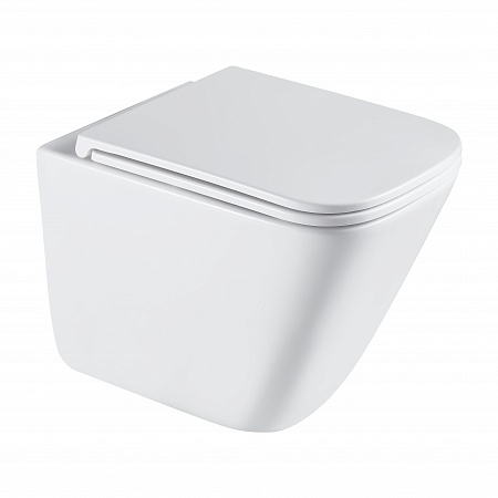 Подвесной унитаз безободковый Terminus Ватикан Монолит 490х340 белый Ростов-на-Дону - фото 2