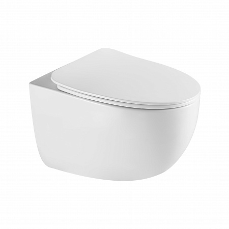 Подвесной унитаз безободковый Terminus Енисей Монолит 560х390 белый Ростов-на-Дону - фото 2