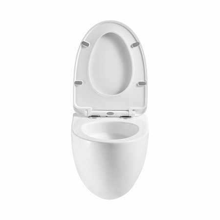 Подвесной унитаз безободковый Terminus Енисей Монолит 560х390 белый Ростов-на-Дону - фото 5