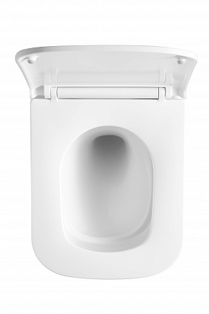 Подвесной унитаз безободковый Terminus Ватикан Монолит 490х340 белый Ростов-на-Дону - фото 3